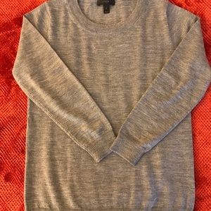 Small Jcrew Merino Wool Tippi Crewneck sweater